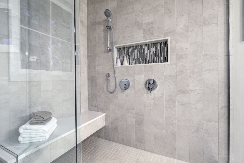Shower with Niche Shelves